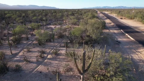 Aerial Drone View Flying Along Desert Road in Baja California Sur, Mexico Stock Footage 340429167