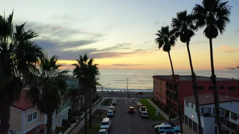 Aerial drone view flying down a palm lines street towards the yellow sunset Video stock 321380144