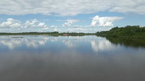 An aerial drone view flying just above a small calm lake  Stock Footage 277614679