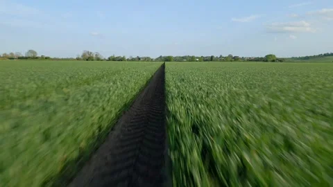 Aerial drone view flying low and fast FPV style over green agricultural land Stock Footage 275900714