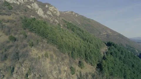 Aerial Drone View Flying Over Pine Forest Above Mountain With Rock Stock-Footage 111822064