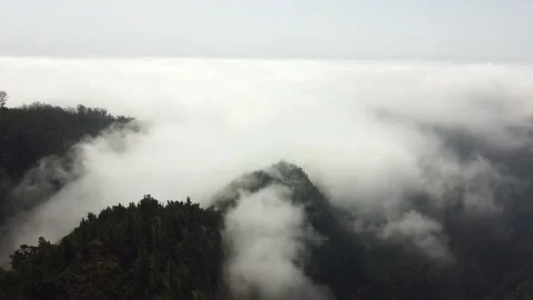 Aerial drone view flying over a forest with clouds Video stock 170904803