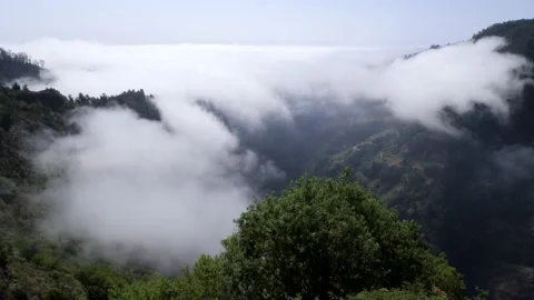 Aerial drone view flying over a forest with clouds Stock Footage 171294328