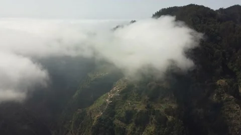 Aerial drone view flying over a forest with clouds. Relaxing and pensive feeling Stock Footage 171558039