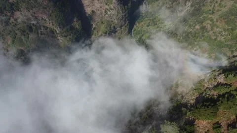 Aerial drone view flying over a forest with clouds Stock Footage 172187337