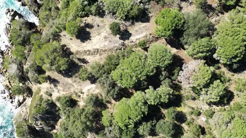 Aerial drone view, flying over the green pine trees, sea and cliffs, 4K Stock Footage 274524260