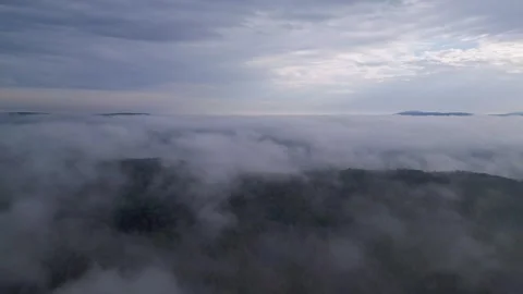 Aerial drone view flying over misty forested mountains in Strandzha National Stock Footage 285400166