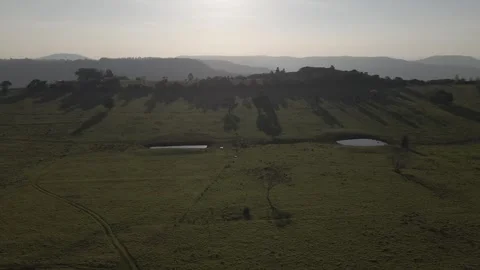 Aerial Drone View Flying Over Gold Coast Hinterland Farms Rosewood Estate 스톡 동영상 304484459