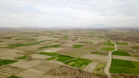 Aerial drone view flying over a rural farming region with a patchwork of green Stock Footage 307789791