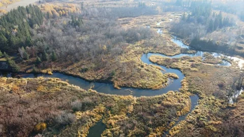 Aerial drone view flying over a twisting creek surrounded by autumn colored Stock Footage 319801414