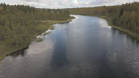 Aerial drone view flying over winding river and forest in Sweden, early autumn Stock Footage 323462015