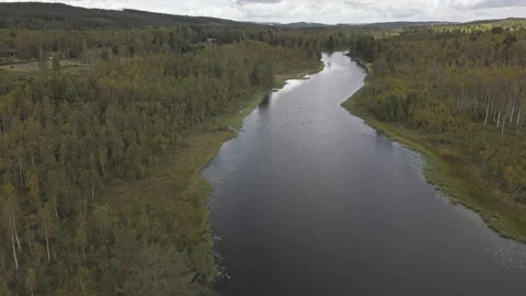 Aerial drone view flying over winding river and forest in Sweden, early autumn Stock Footage 323462016