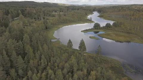 Aerial drone view flying over winding river and forest in Sweden, early autumn Stock Footage 323462600