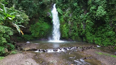 Aerial drone view flying towards Batulantang Waterfall in rainforest, Bali Stock Footage 342551772