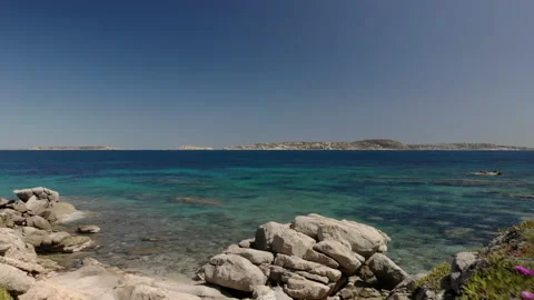 Aerial drone view fo idyllic coastline with flowers and sea Stock Footage 153868848