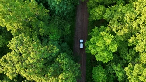 Aerial drone view following a silver car driving along a winding... Stock Footage 341894277