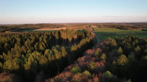 Aerial drone view of a forest with evergreen trees and surrounding agricultural Stock Footage 343538825