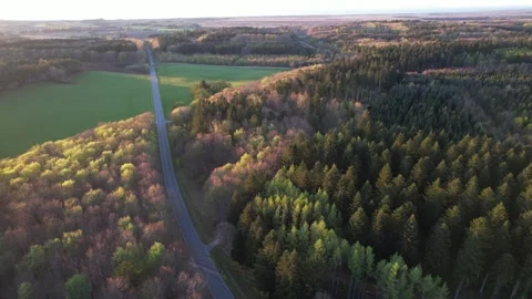 Aerial drone view of a forest with evergreen trees and surrounding agricultural Stock Footage 343538858