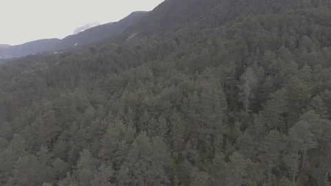 Aerial drone view on a forest Video stock 100605739