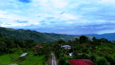 Aerial drone view of a forest with a road and houses in the mountains Stock Footage 317453064
