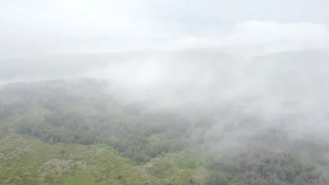 Aerial drone view to forest through the fog. Mountain landscape Stock Footage 155379105