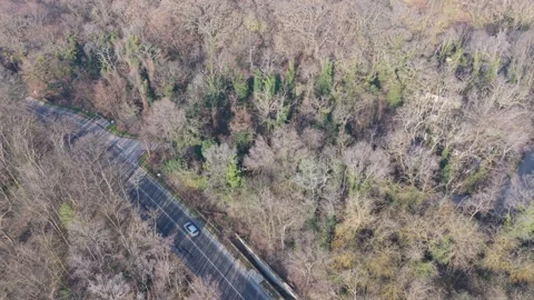 Aerial Drone View Of Forest Trees Along Quiet Country Road Stock Footage 330105305