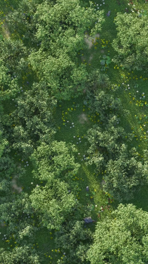 Aerial drone view forest vertical 08 Stock-Footage 306771064