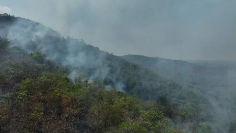 Aerial drone view of forest wildfire. Video stock 334314784
