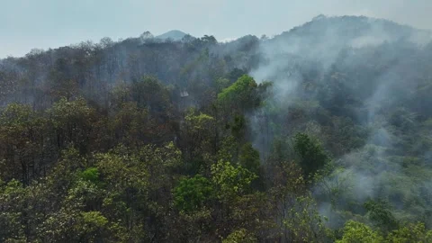 Aerial drone view of forest wildfire. 스톡 동영상 334314787