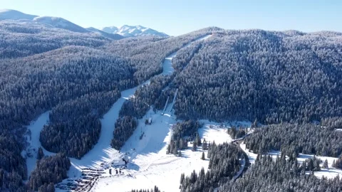Aerial drone view of forest in winter. Ski jumping facility. Ski terrains Video stock 168990652
