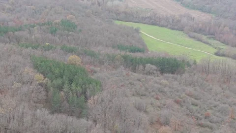 Aerial drone view of forested hills and bright green meadow landscape Stock Footage 323322331