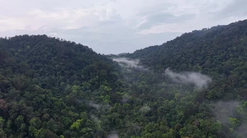 Aerial drone view of forested hills and mist in Penang 库存影片 337720958