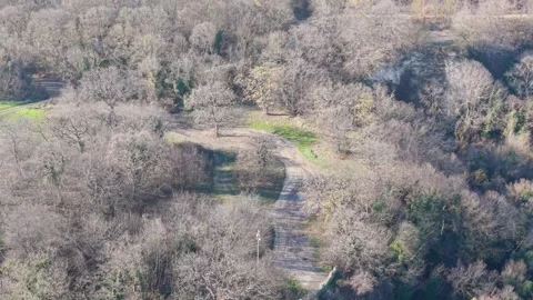 Aerial drone view of forested valley and winding rural path Stock Footage 323528593
