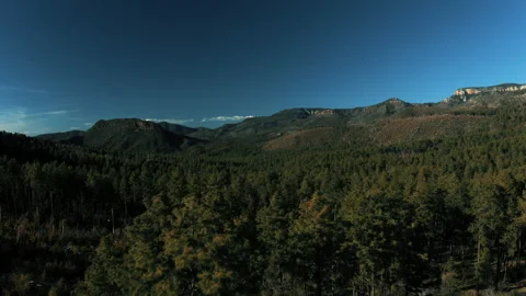 Aerial drone view of forests and cliffs at Theodor Roosevelt lake overlook in Video stock 143193250