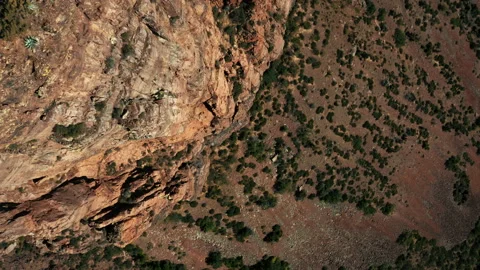 Aerial drone view of forests and cliffs at Theodor Roosevelt lake overlook in Video stock 143197489