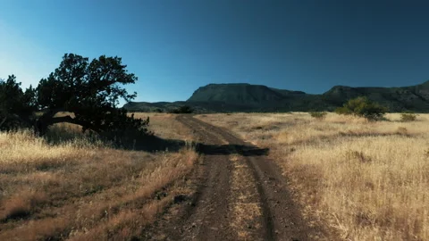 Aerial drone view of forests and cliffs at Theodor Roosevelt lake overlook in Video stock 143199636