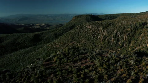 Aerial drone view of forests and cliffs at Theodor Roosevelt lake overlook in Stock-Footage 143203795