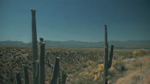 Aerial drone view of forests and cliffs at Theodor Roosevelt lake overlook in Stock-Footage 144026876