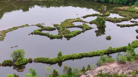 Aerial drone view of frog hill abandoned quarry wetlands Stock Footage 329358462