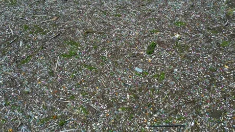 Aerial drone view of the garbage floating on the Drina river Stock Footage 264766161