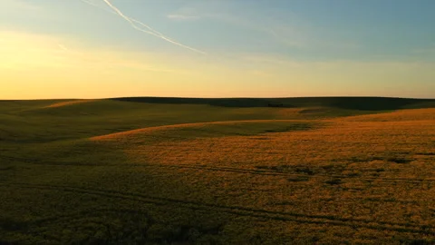 Aerial drone view of gently rolling green and golden farmland at sunset with a Stock Footage 336614322