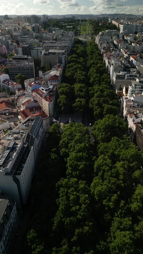 Aerial drone view going northwards at Avenida da Liberdade in Lisbon, Portugal - Stock Footage 275621602