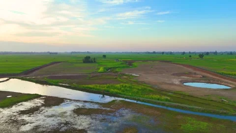 Aerial drone view of golden light gliding across a quilt of farmland. 動画素材 310936383