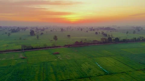Aerial drone view of golden sunlight spilling across vibrant green fields. Stock Footage 310936980