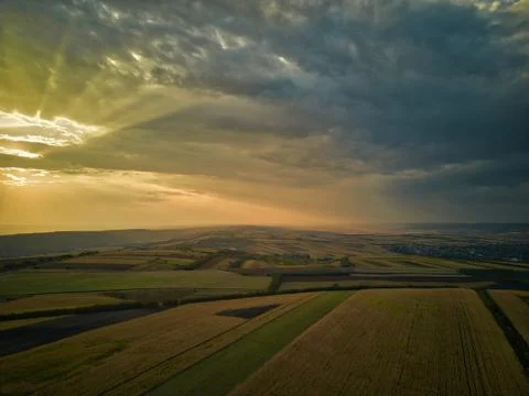 Aerial drone view of grain fields, wheat during golden sunset. Agricultural p Stock Photos