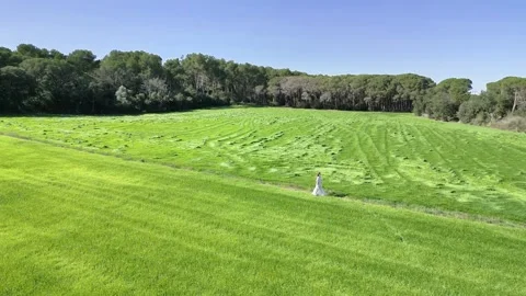 Aerial drone view of green fields, woman with long dress walking in nature, 4K Stock Footage 274458806