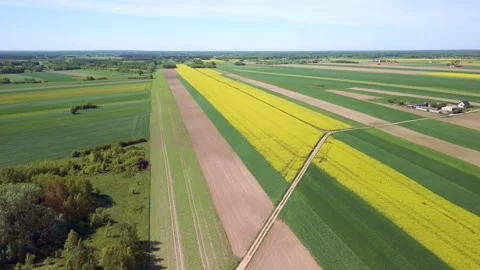 Aerial drone view of green fields and forest landscape Stock Footage 317750984