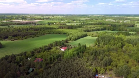 Aerial drone view of green fields and forest landscape Stock Footage 317752316