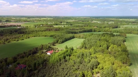 Aerial drone view of green fields and forest countryside Video stock 317752484
