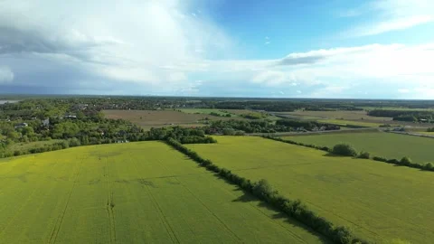 Aerial drone view of green fields and forest landscape Stock Footage 317836520